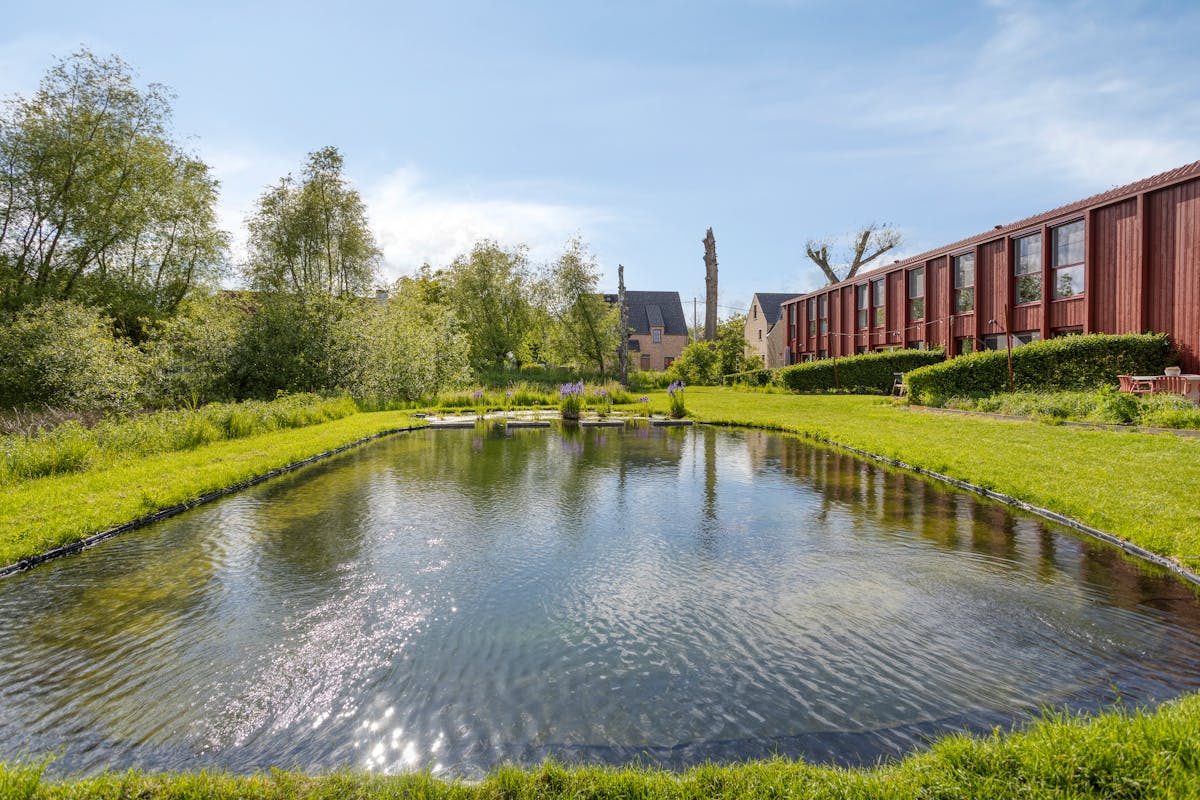 Ben-cohousing house with 3 bedrooms and private garden in Olen. - photo 2