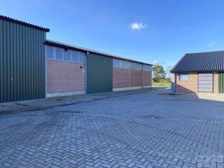 Deze opslagruimte (nr.3) is gelegen vlakbij het centrum van Brecht en de op- en afrit van de E19 Antwerpen-Breda.<br />De unit heeft een oppervlakte van 250m² (25m x 10m) en is bereikbaar via een schuifpoort.<br />De vrije hoogte aan de zijkant bedraagt +/-4,30m tot een nokhoogte van +/- 6,80m. <br />De unit is voorzien van een gepolierde betonvloer en elektriciteit met een aparte tussenmeter. <br />Er is geen isolatie, verwarming of sanitair aanwezig.<br />Huurprijs: 995 euro excl. BTW<br />Beschikbaar: 01 december 2025<br />Meer informatie kan u bekomen op via ons kantoor.