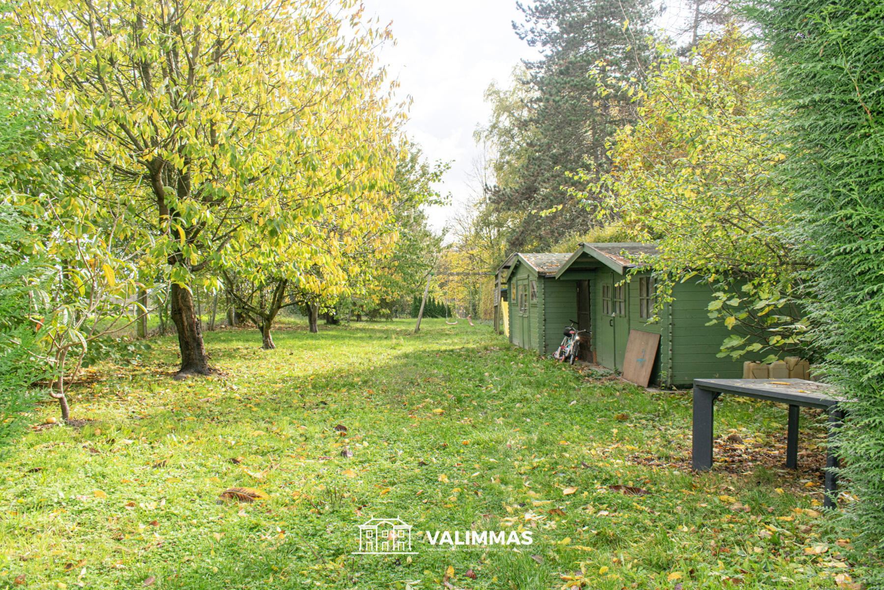 Ruime, instapklare woning met bijgebouw/studio en grote tuin - foto 4