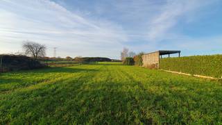 Deze zeldzaam ruime bouwgrond van 2.176m² vindt u in Reppel, een rustige deelgemeente van Bocholt, op een boogscheut van Bree. De Toekomststraat...