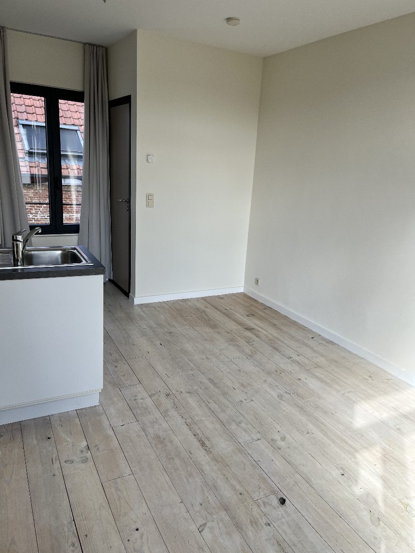 Appartement te huur in Antwerpen met 1 slaapkamer - foto 4