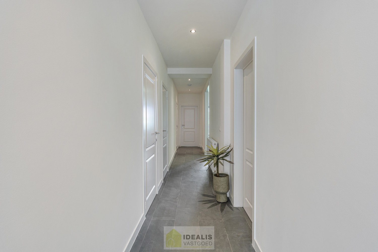 PRACHTIG GERENOVEERD GELIJKVLOERSAPPARTEMENT MET STADSTUIN IN HARTJE HAMONT! - foto 4