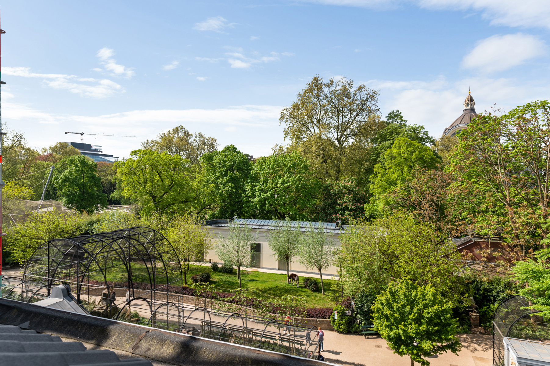 Appartement te koop in Antwerpen met 1 slaapkamer - foto 5