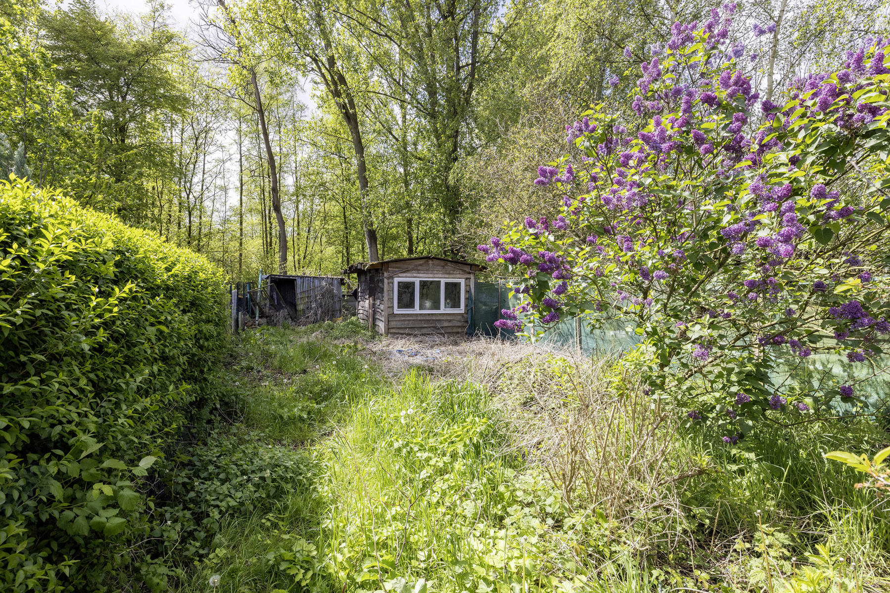 Te renoveren woning op een perceel van 509m² - foto 5