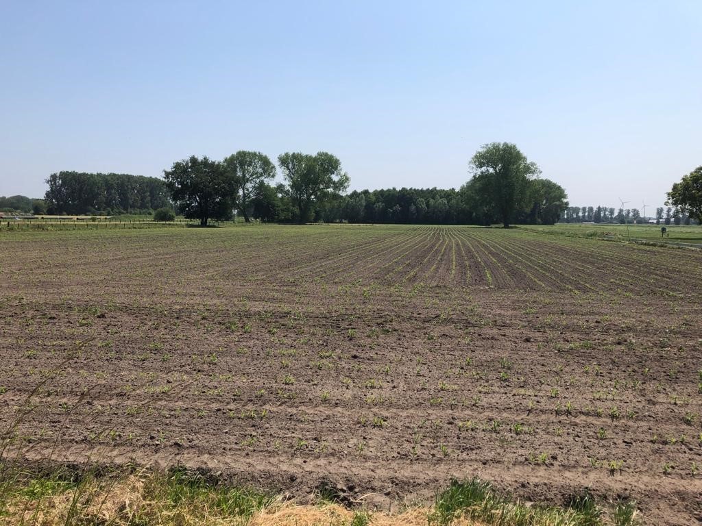 Nieuwpoortstraat 20 - foto 4