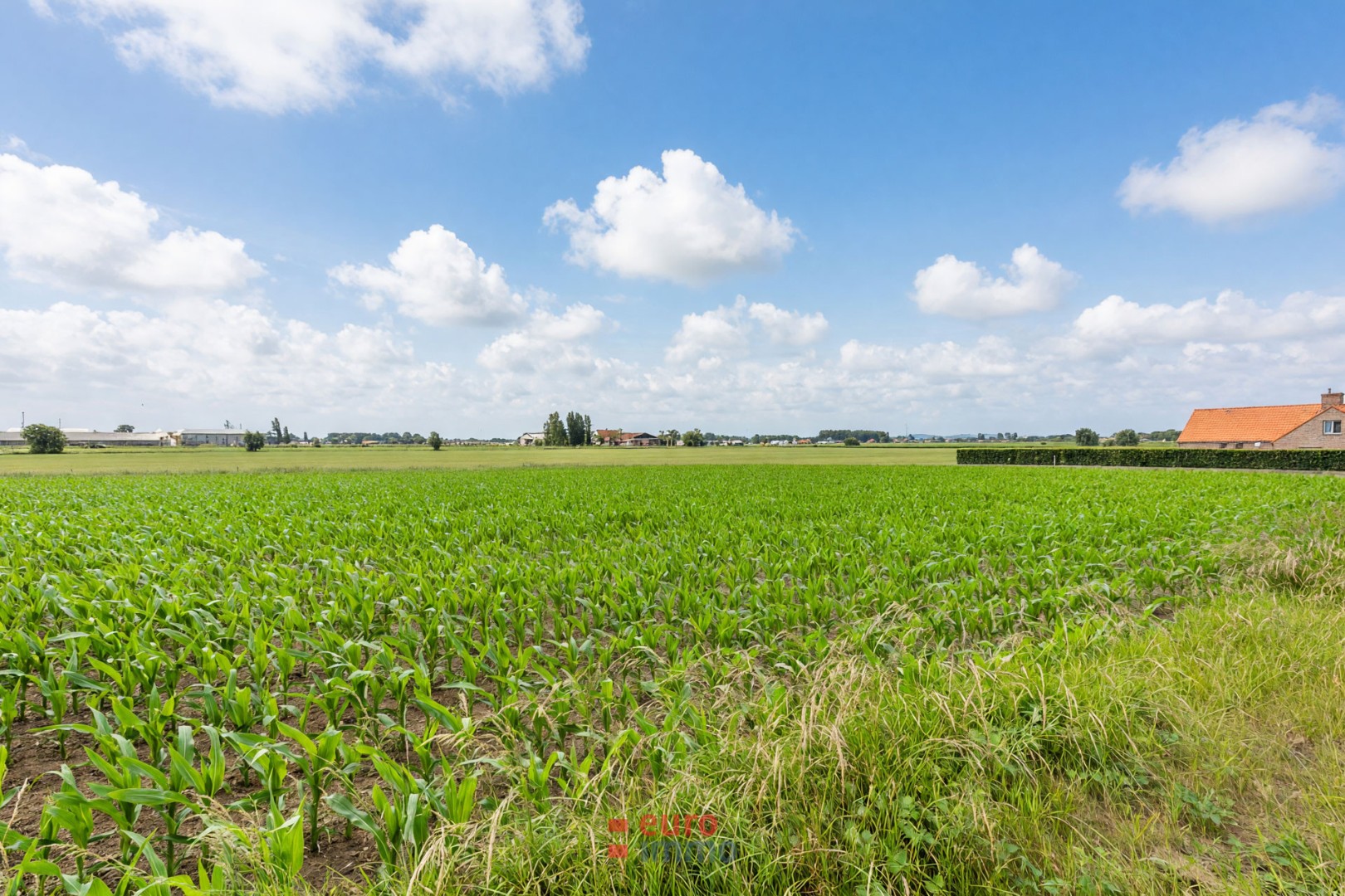Exclusief gelegen bouwgrond aan de buitenrand van Ieper! - foto 5