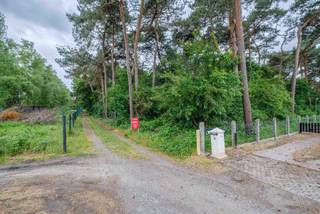 Perceel landbouwgrond ca. 663 m² + perceel bosgrond ca. 17.382 m² gelegen achter de kerk van St.-Jan aan Gerheide - Balen.