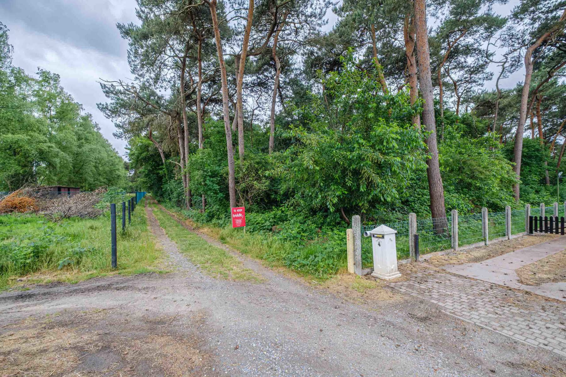 Grond te koop in Balen - foto 1