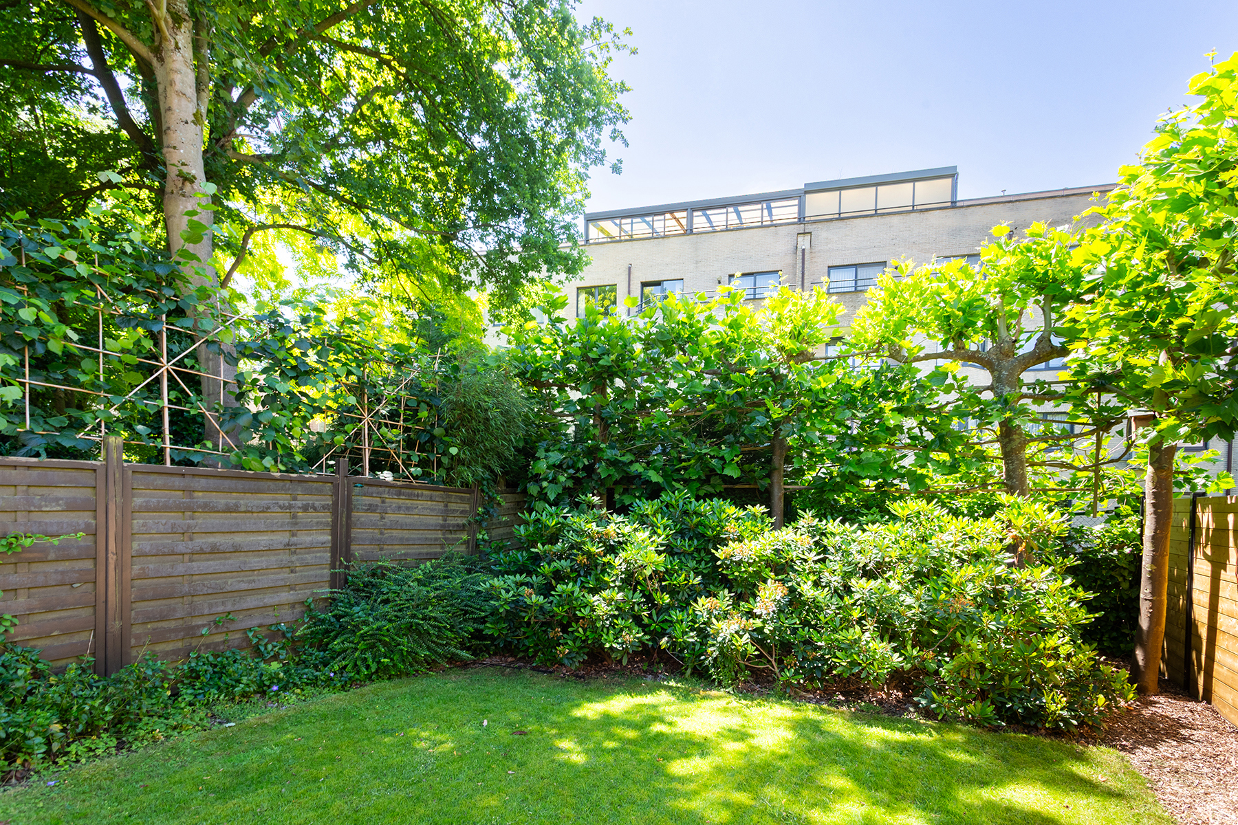 Maison à vendre à Berchem avec 4 chambres - photo 5