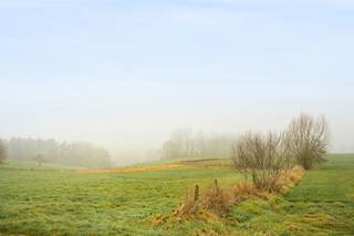 <p><strong>Te koop: prachtig gelegen bungalow met loods en open zicht</strong><br /><br />Op een prachtige ligging met weidse vergezichten bevindt zich deze <strong>gelijkvloerse bungalow</strong> met <strong>oprit</strong>, <strong>ruime tuin</strong> en <strong>loods</strong>.<br /><br />Wat maakt dit pand uniek?<br />De woning omvat een <strong>inkomhal</strong>, een <strong>leefruimte</strong>, <strong>keuken</strong>, <strong>berging</strong>, <strong>badkamer</strong> en maar liefst <strong>vier slaapkamers</strong>. Daarnaast is er een grote <strong>loods</strong> van 105 m², aangevuld met een<strong> ruime parking en oprit</strong>, wat tal van mogelijkheden biedt voor opslag, hobby of professionele activiteit (onder voorbehoud van bestemming).<br /><br />De eigendom beschikt over <strong>zonnepanelen</strong>, centrale verwarming op pellets, overal LED-verlichting, een <strong>regenwaterput</strong> van 12.000 liter en digitale meters voor water en elektriciteit.<br /><br />Buiten geniet je van een <strong>grote tuin</strong> en vooral van het unieke <strong>open uitzicht.</strong><br /><br />Voor wie is dit ideaal?<br />Perfect voor renovatiezoekers, ruimtezoekers of wie droomt van een woning met loods en buitenruimte op een uitzonderlijke locatie met panoramisch zicht.<br /><br />Te koop via Immo Beguin, jouw vastgoedexpert sinds 2009, met kantoren in Ronse, Waregem, Kortrijk, Deinze, Doornik en Lessines.<br />Bezoek na afspraak via: caroline@immobeguin.be</p>