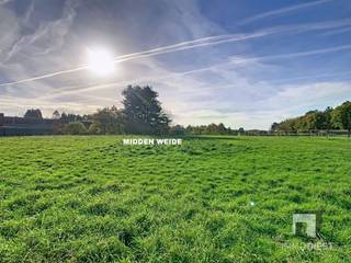 Land for sale in Diest