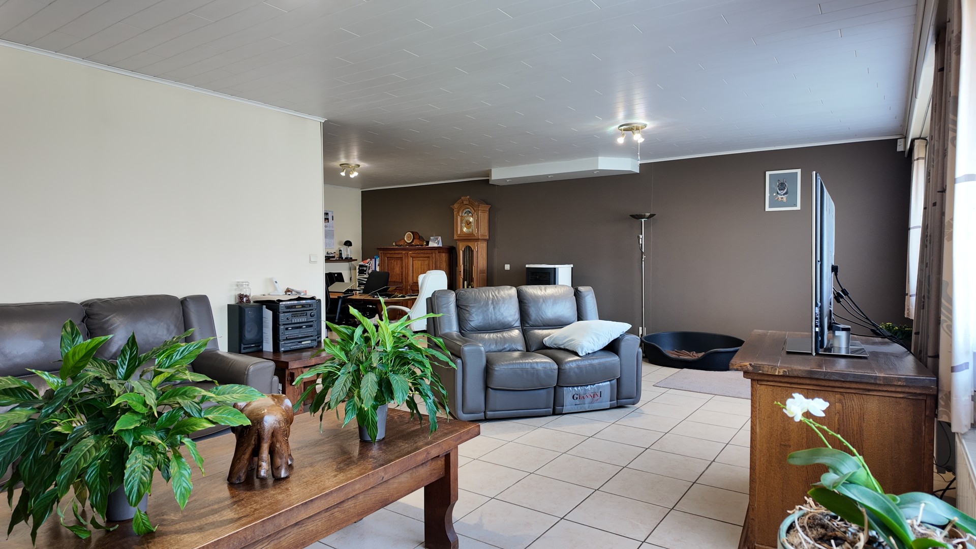 WONING MET LOODS TE KOOP - ZUTENDAAL - foto 5