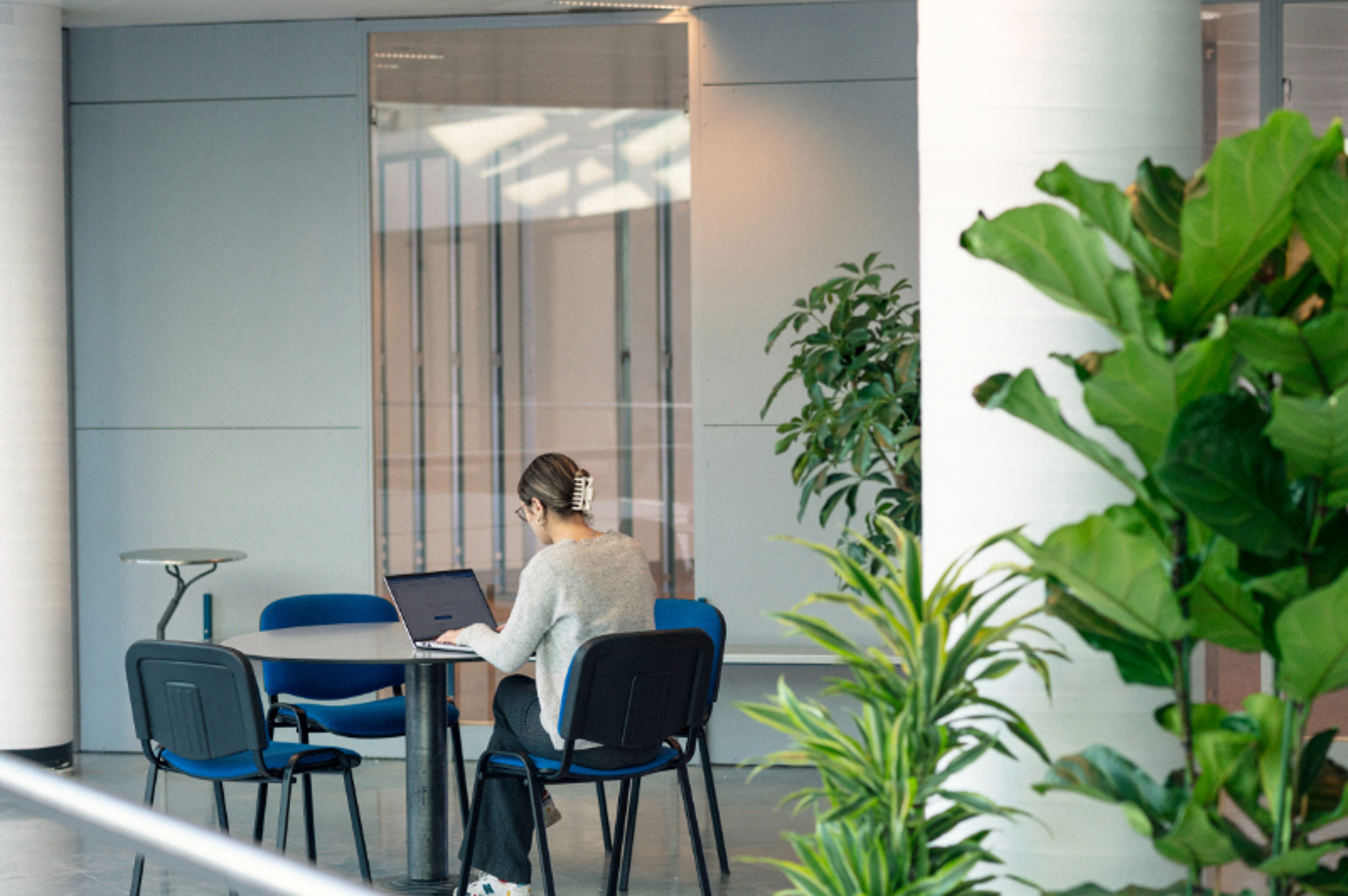 Commercial à louer à Grimbergen - photo 3