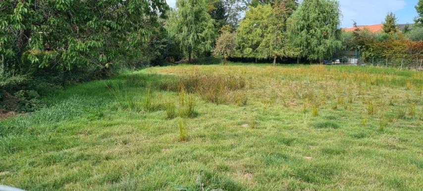 Terrain à vendre à Hoegaarden - photo 2