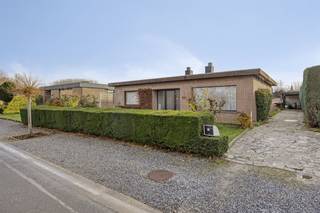 Maison à vendre à Maaseik