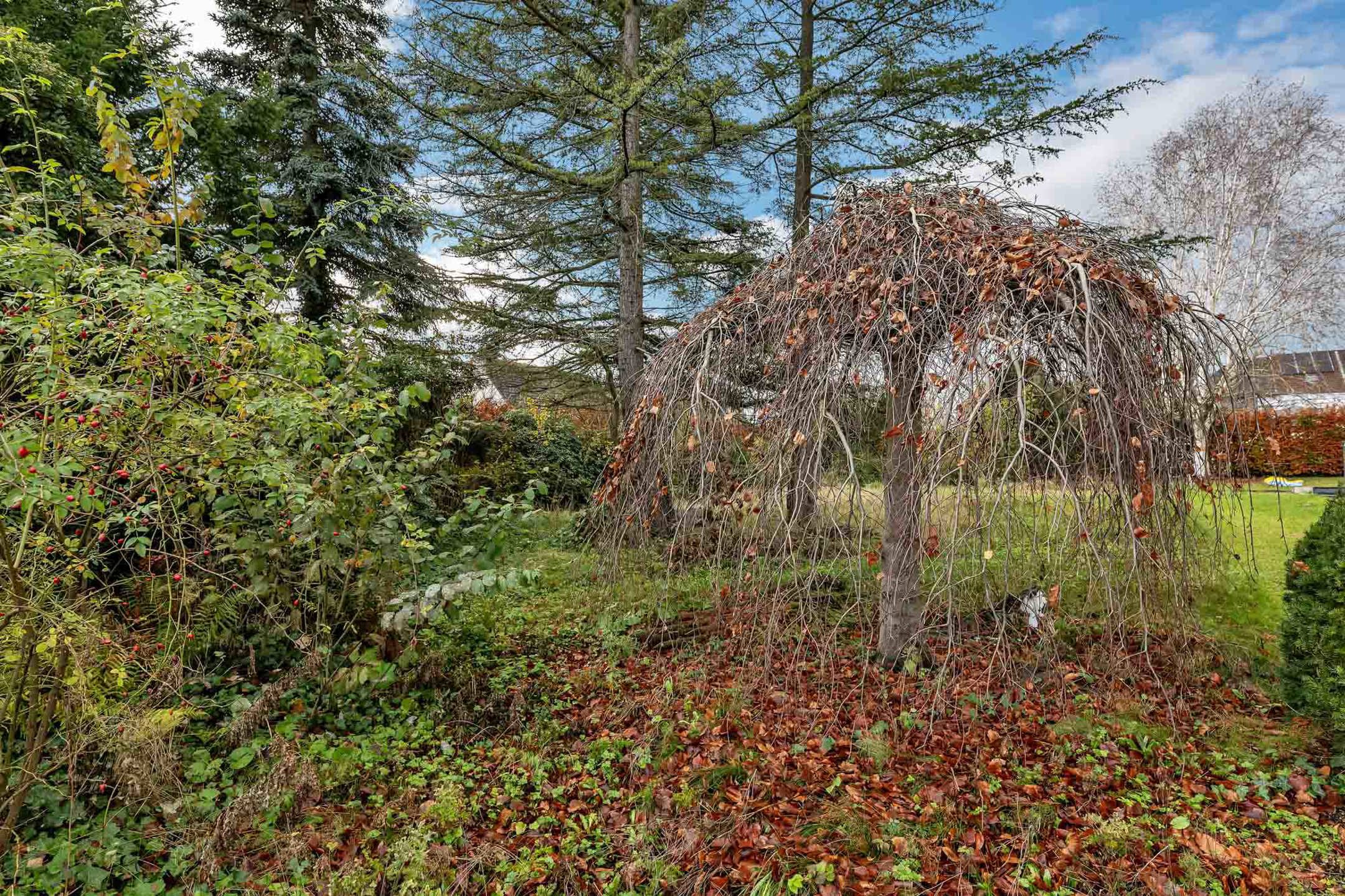 Land for sale in Roosdaal - photo 4