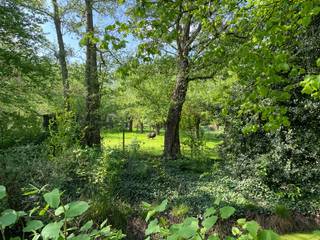 De grond biedt veel mogelijkheden voor tuinliefhebbers en gezinnen die op zoek zijn naar ruimte en privacy. Met een perceeloppervlakte van...