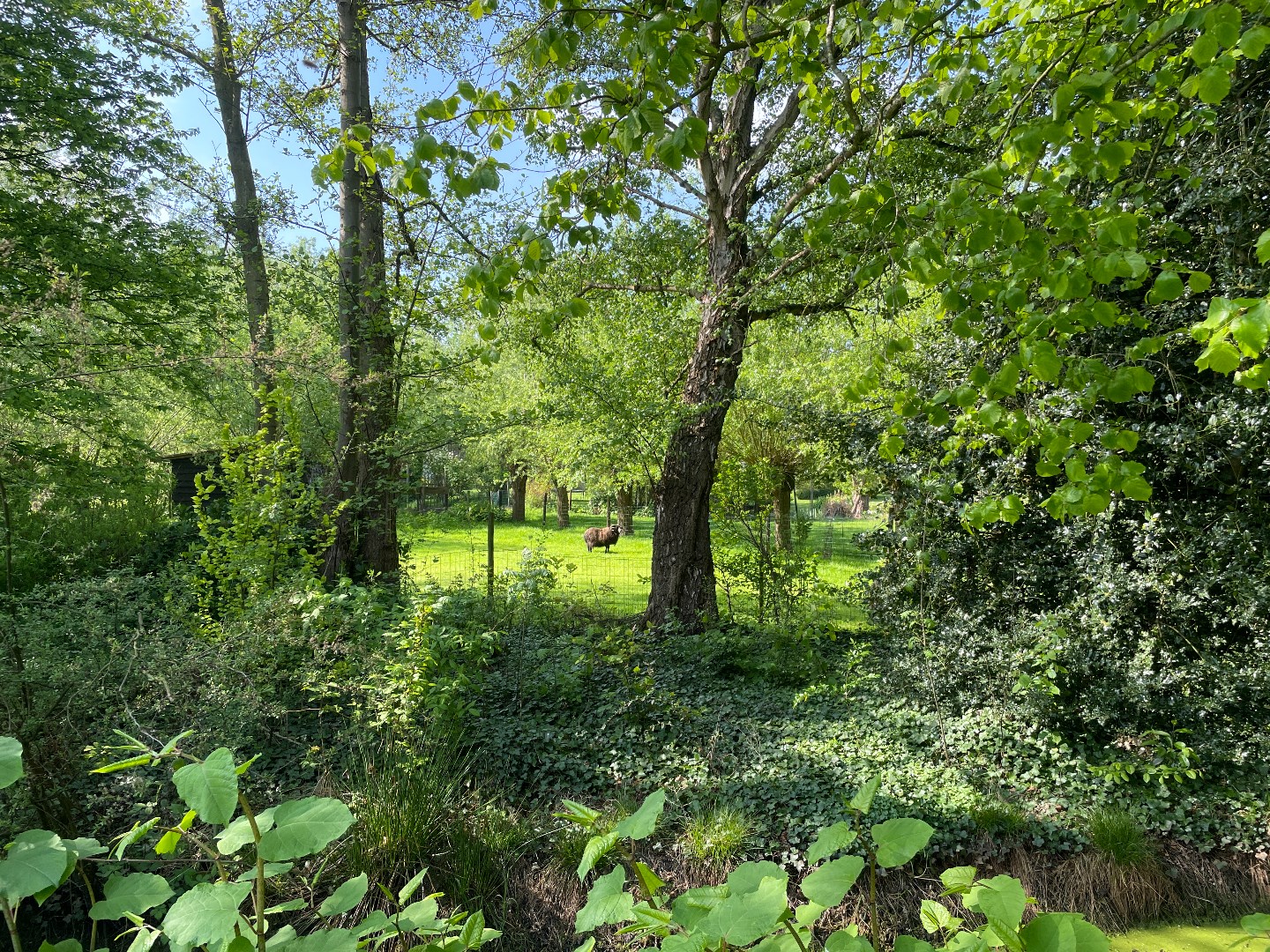 Perceel bouwgrond te Heusden/Destelbergen met zuidgerichte tuin op perceel van 1420.00m² - foto 3