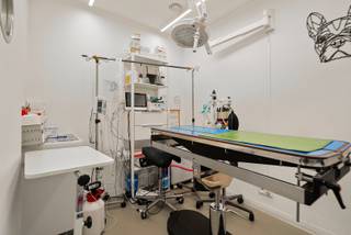 Charmant commercieel pand, momenteel in gebruik als dierenartsenpraktijk. Dit pand is volledig gerenoveerd en beschikt over een moderne, onderhoudsvriendelijke gietvloer. Het is gelegen aan een drukke weg, wat zorgt voor uitstekende zichtbaarheid.<br /><br />Het pand biedt tal van voordelen, waaronder conforme keuring van de elektrische installaties, geen renovatieverplichting, en een efficiënt systeem D voor ventilatie. Bovendien is er vloerverwarming voor extra comfort en een apart toilet voor het gemak van bezoekers en personeel.<br /><br />Er zijn geen syndicuskosten en het pand is beschikbaar vanaf begin 2027.