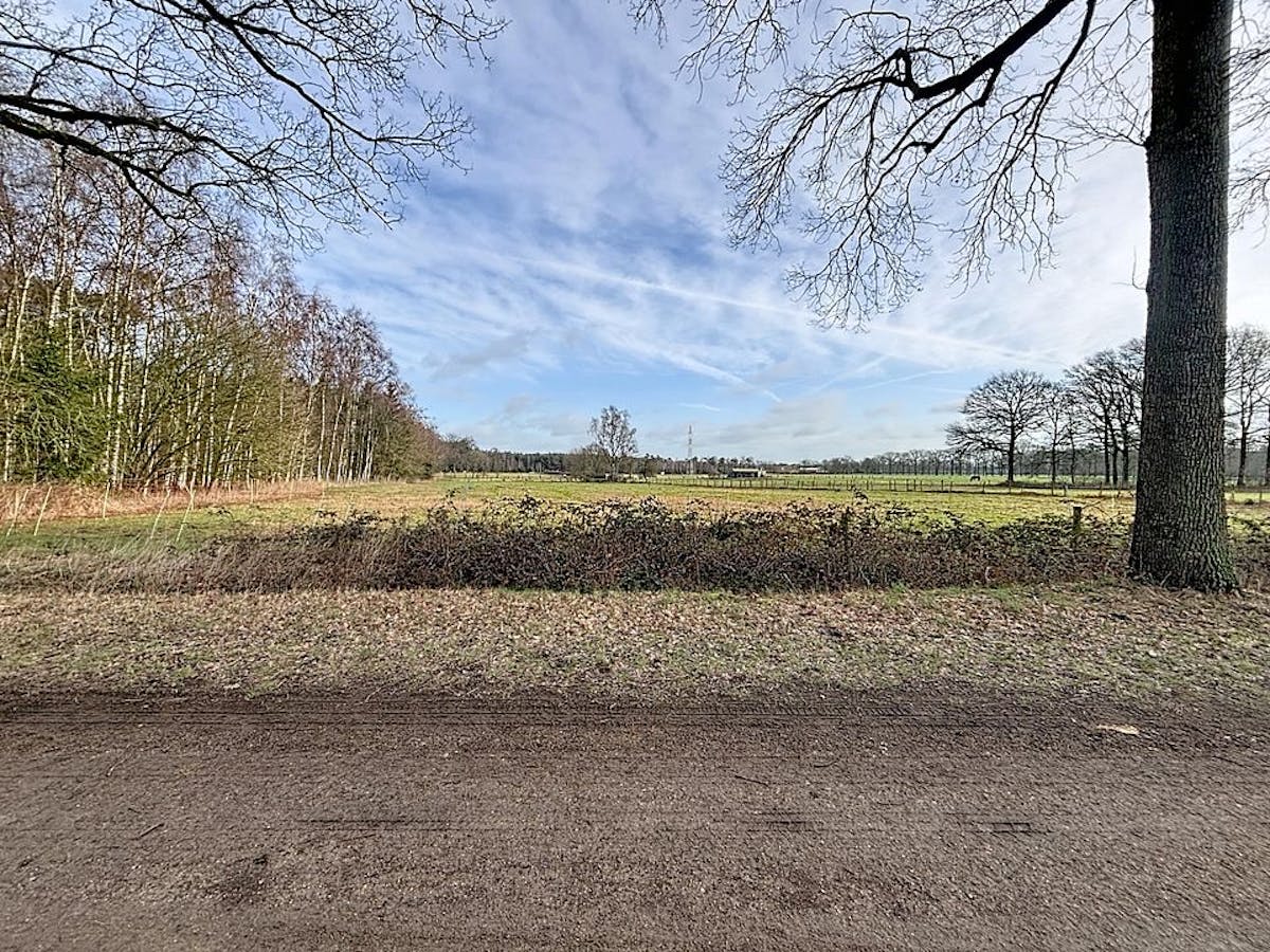 Grond van 9396 m² te koop in Gooreind - foto 5