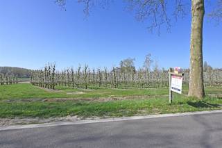 <p><span>Deze bouwgrond (OB) met een perceelsoppervlakte van 16are80 is zeer rustig gelegen. Met een straatbreedte van ±24m te midden van een residentiële, groene omgeving kunt u hier het huis van uw dromen omzetten in werkelijkheid. </span></p><p><span> </span></p><p><span>Bestemming: eengezinswoning.</span></p><p><span>Oriëntatie: zuidwest</span></p><p><span>Breedte perceel: ± 24m</span></p><p><span>Diepte perceel: ± 70m</span></p><p><span>Afstand perceelsgrens: 4m</span></p><p><span>Bouwdiepte gelijkvloers en verdieping: 20m</span></p><p><span>Bouwvoorschriften: te bekomen via mail.</span></p><p><span>Kelder is toegestaan</span></p><p><span> </span></p>