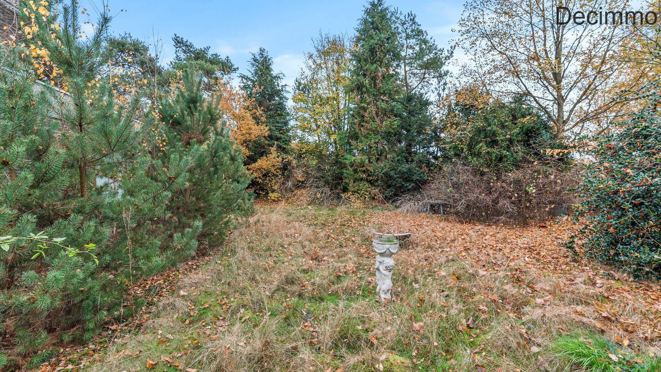 Te renoveren woning op 4769 m², grenzend aan natuurgebied De Keiheuvel - foto 5