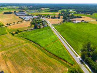 <p><strong>Perceel landbouwgrond van 3.429m²</strong></p>
<p>Perceel landbouwgrond met een totale opp. van 3.429m², op het plan aangeduid met kadastrale benamingen D416a.<br />Dit perceel is bereikbaar langs een weg en is niet verpacht.<br />Gelegen in agrarisch gebied in Lille (Poederlee), in de straat "Lichtaartsesteenweg (schuin over nr. 92)</p>