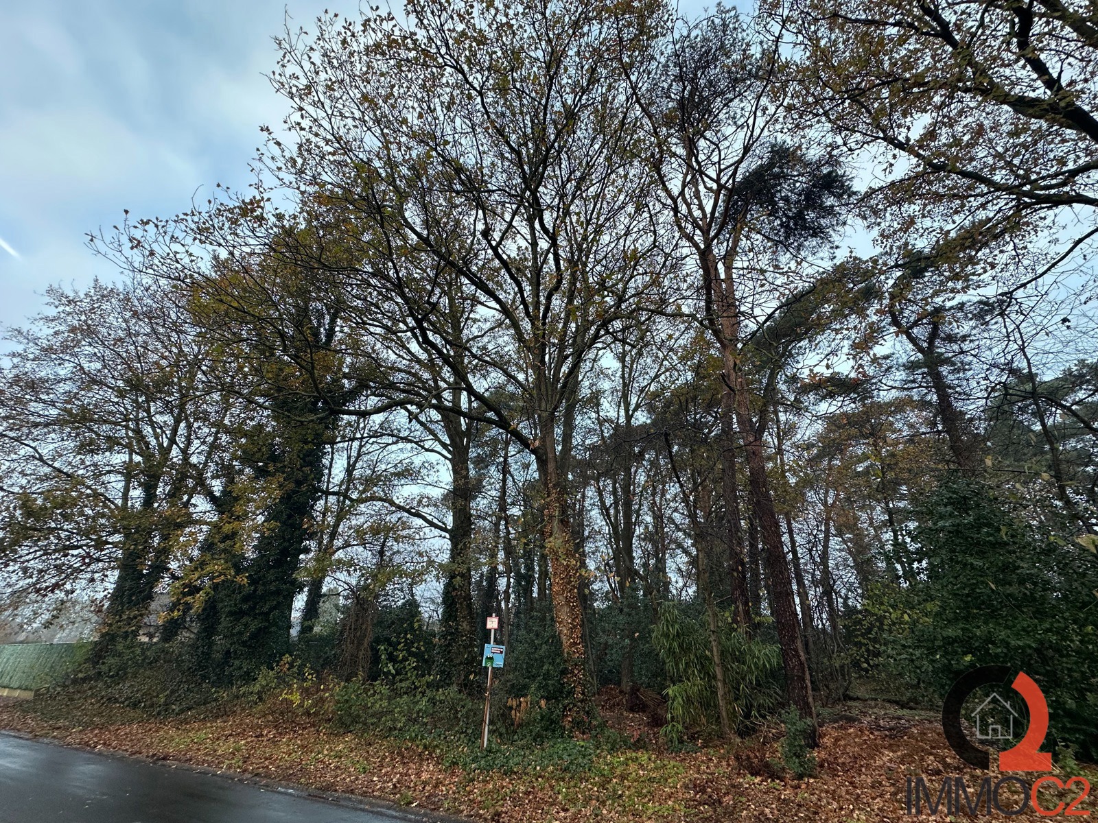 Grond te koop in Beringen - foto 4