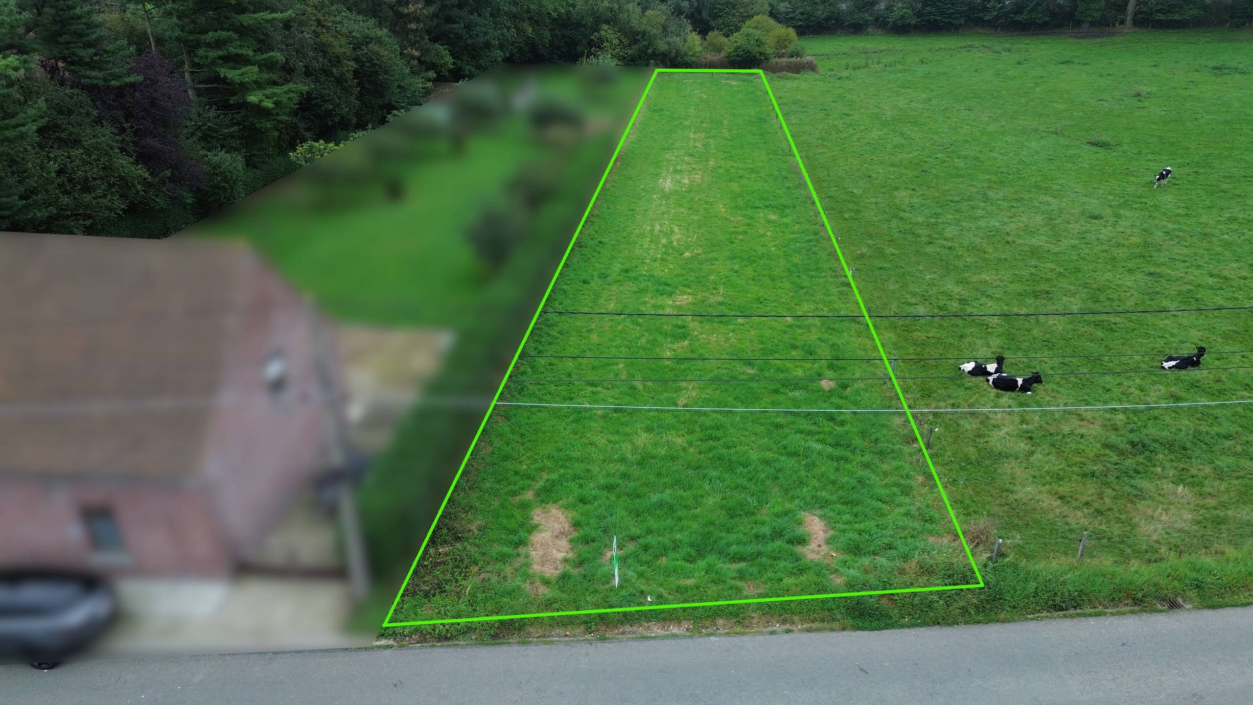 Land for sale in Ellezelles - photo 3