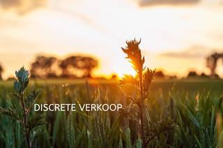 House for sale in Lievegem