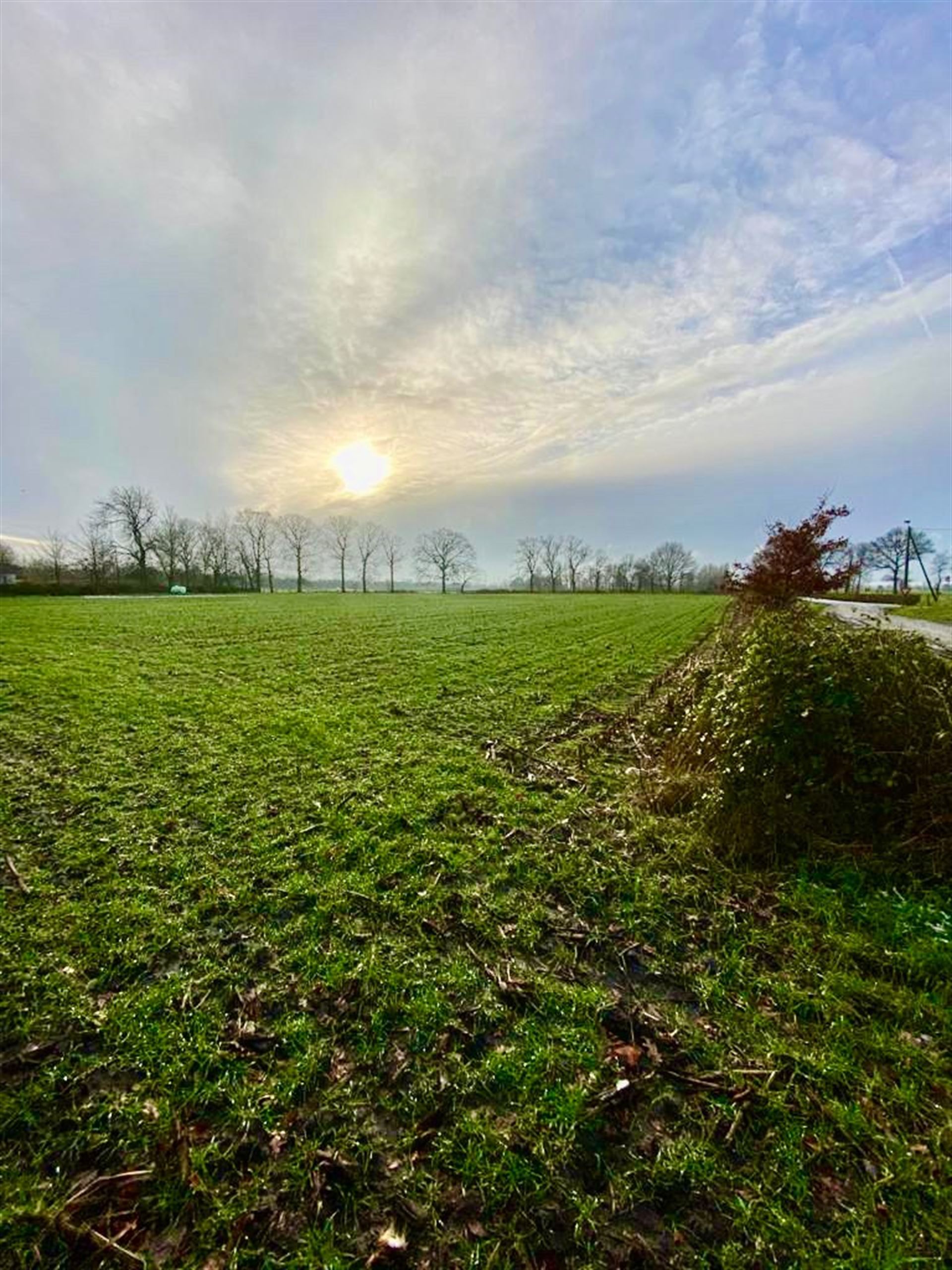 Ruim perceel grond van 15.660m² gelegen in recreatiegebied met diverse mogelijkheden - foto 3