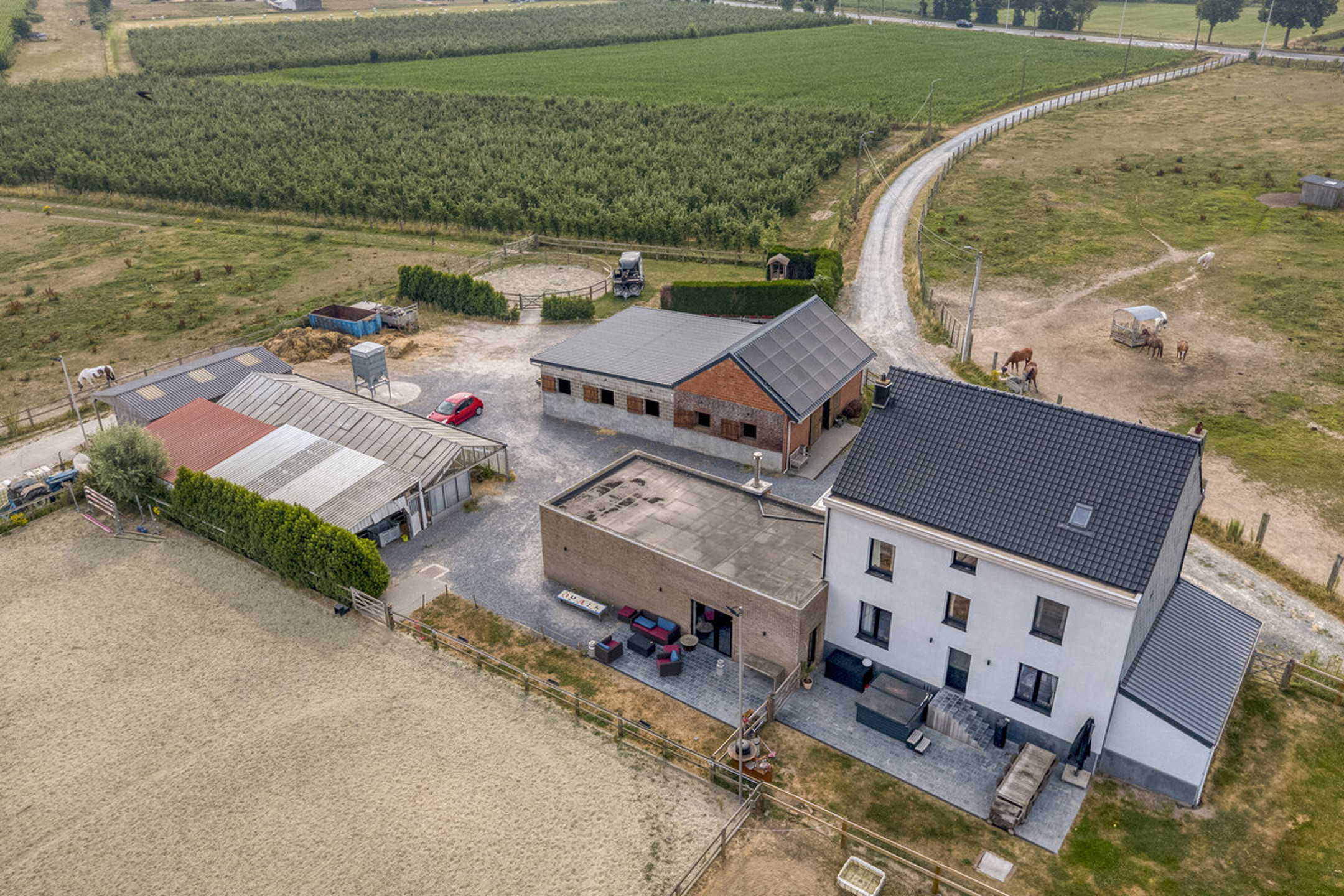 ASSE – Instapklare woning met stallen op 1,8 ha - foto 4