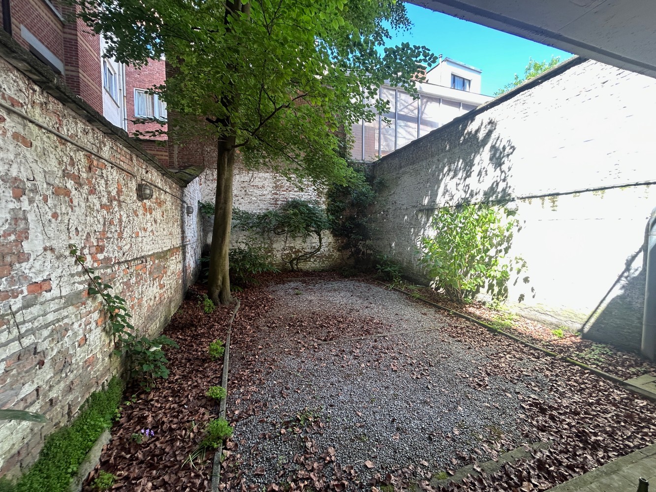 Appartement te huur in Antwerpen met 1 slaapkamer - foto 3