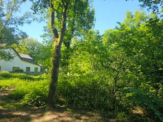 Dit perceel ligt in rustig en groen gebied in de Vaartstraat Tessenderlo-Ham.De grond is makkelijk bereikbaar en meteen beschikbaar.Contacteer ons op...