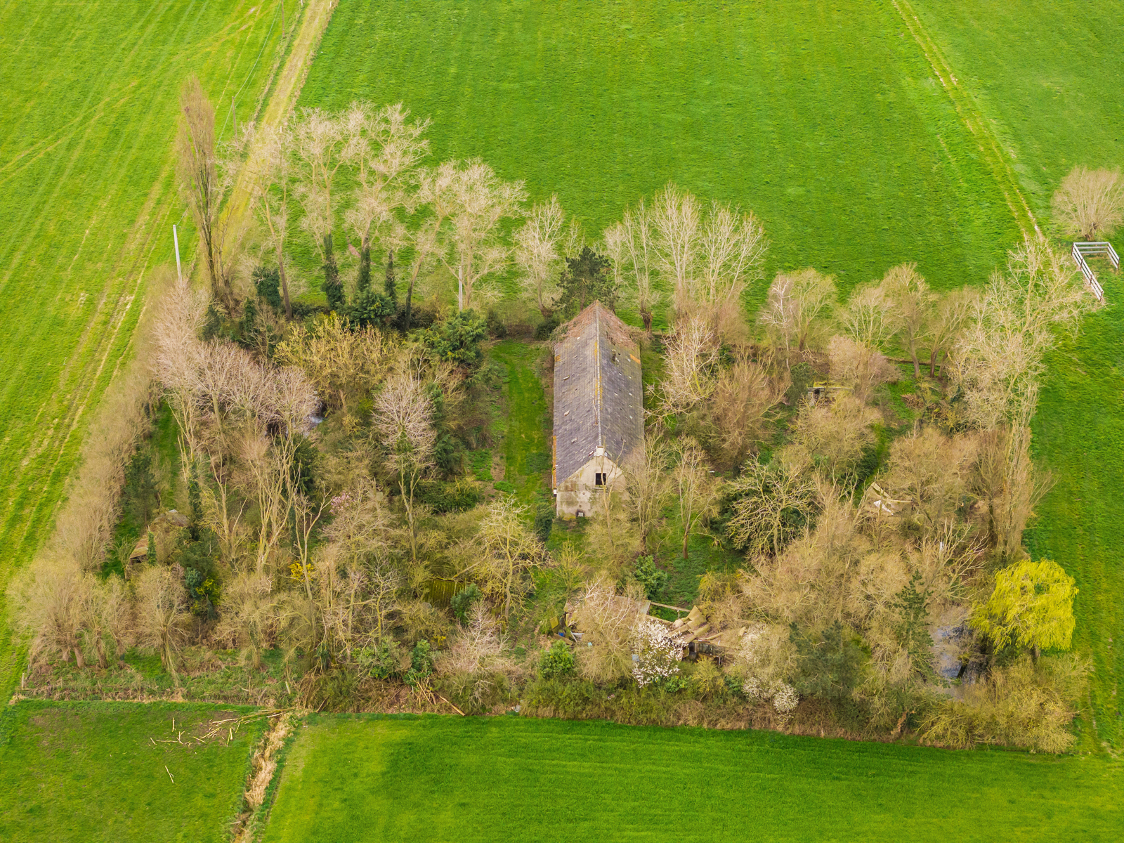 Maison à vendre à Dixmude avec 5 chambres - photo 2