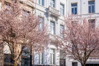 Gelegen aan één van de mooiste pleinen van Antwerpen, de Lambermontplaats, vinden we dit prachtig herenhuis terug. Deze gegeerde locatie op het...