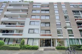 WILRIJK - Rucaplein 585: Mooi gerenoveerd appartement (ca 60m²) op topligging, met 1 slaapkamer en terras. BESCHRIJVING: Instapklaar, gerenoveerd...