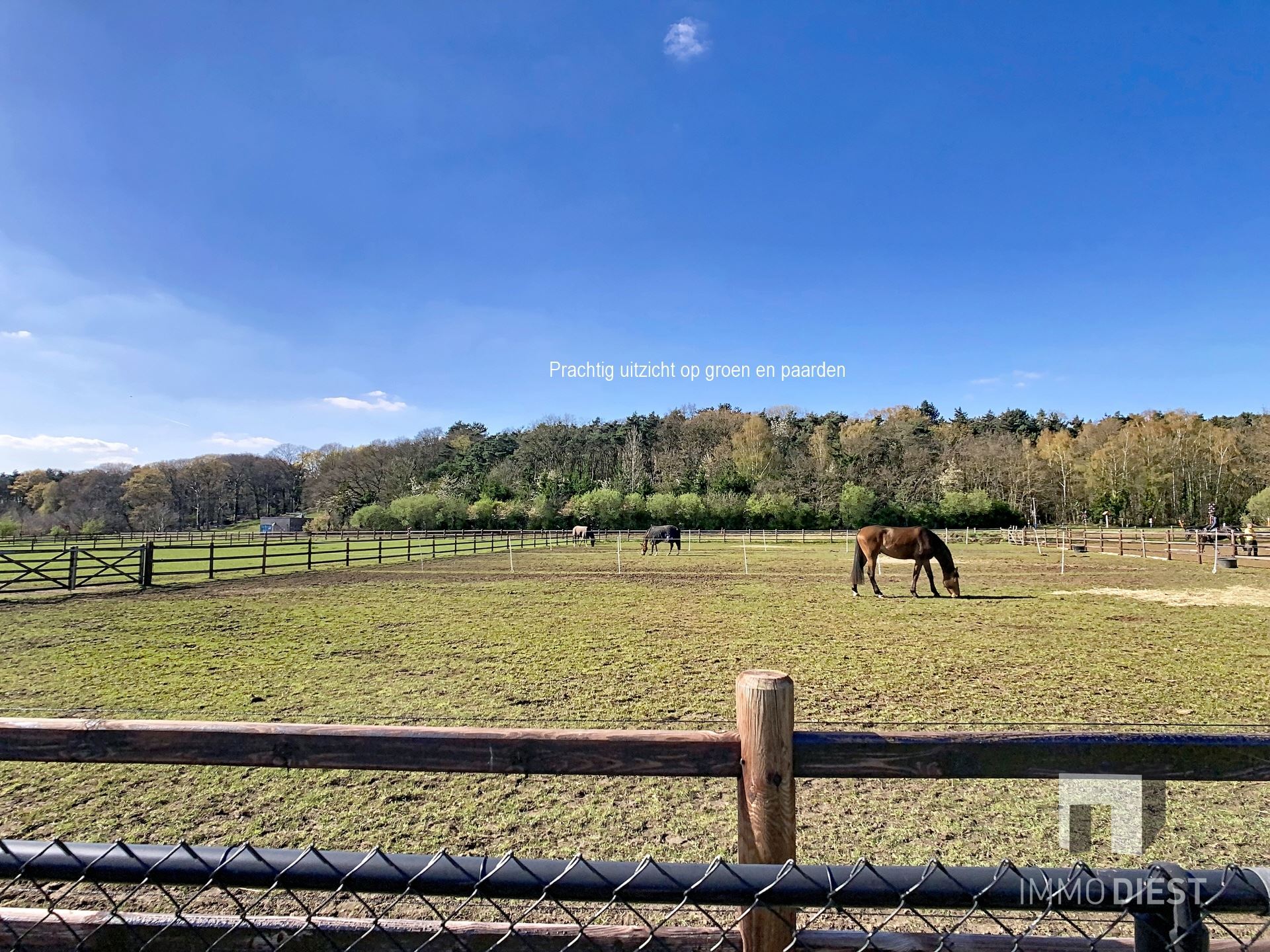 Quasi halfopen nieuwbouw met E-peil 22 - foto 3