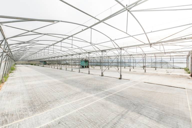 Welgelegen serrecomplex, ideaal voor agrarische activiteiten - foto 18