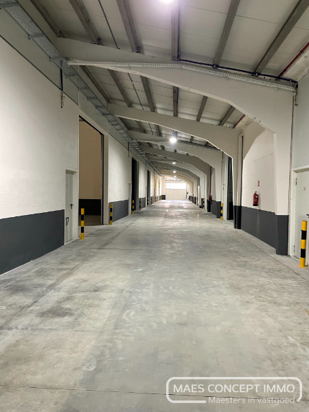 Opslagruimtes vanaf 150 m2 te huur in Anzegem - foto 5