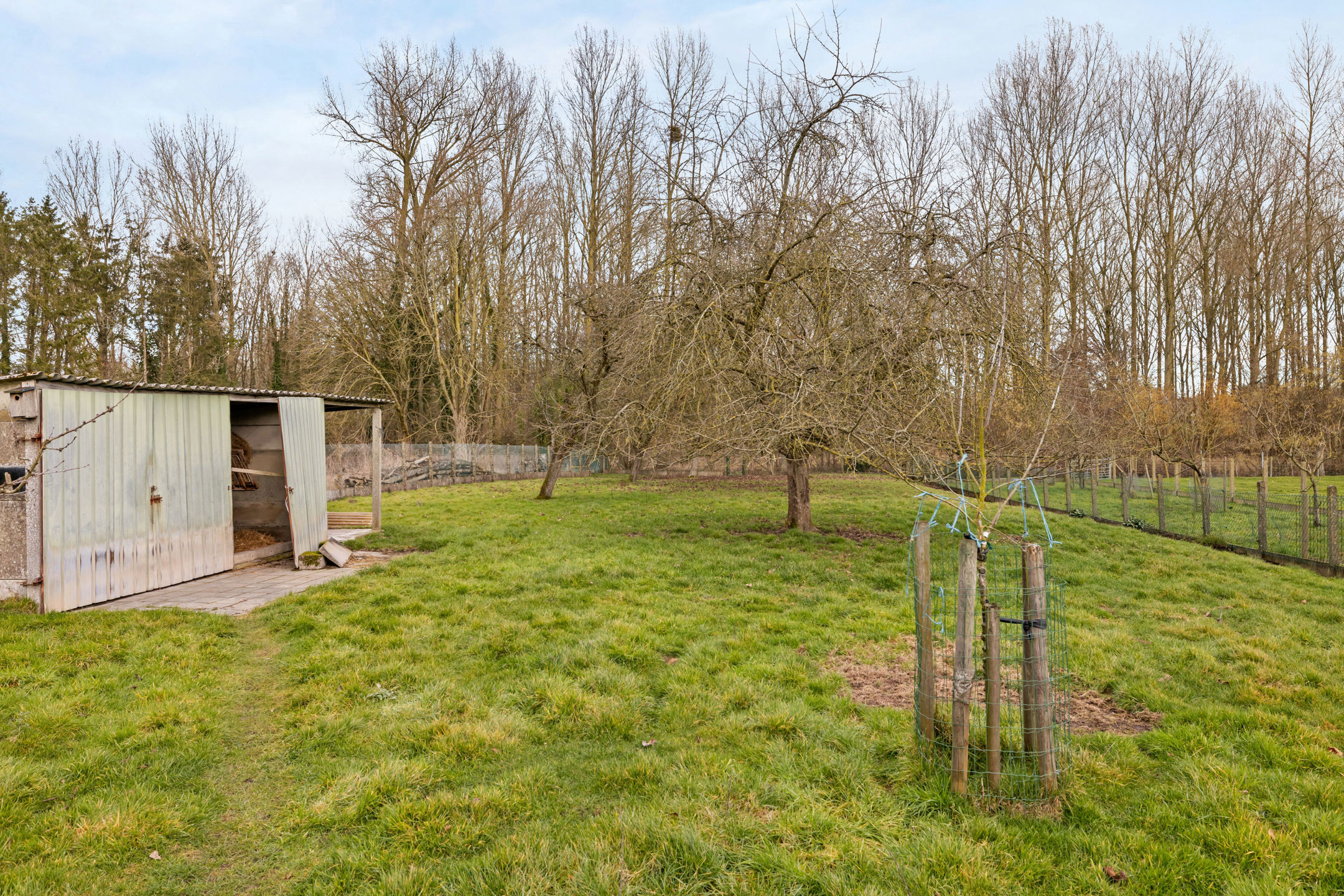 Statige villa 4 (5) slpk met grote tuin - foto 2