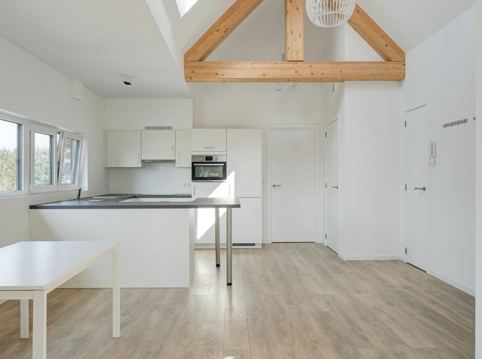 Penthouse met 2 ruime terrassen - foto 5