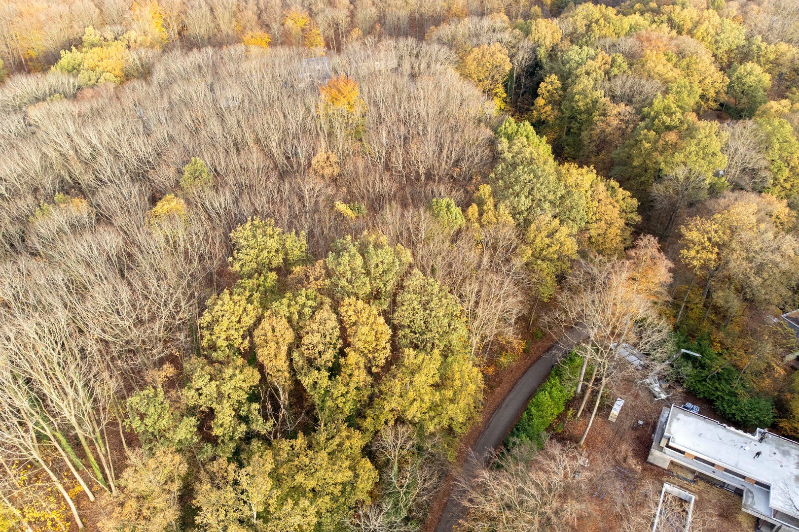 Prachtige bouwgrond van 22a 63ca te koop op een toplocatie in Hoog-Linden! - foto 3