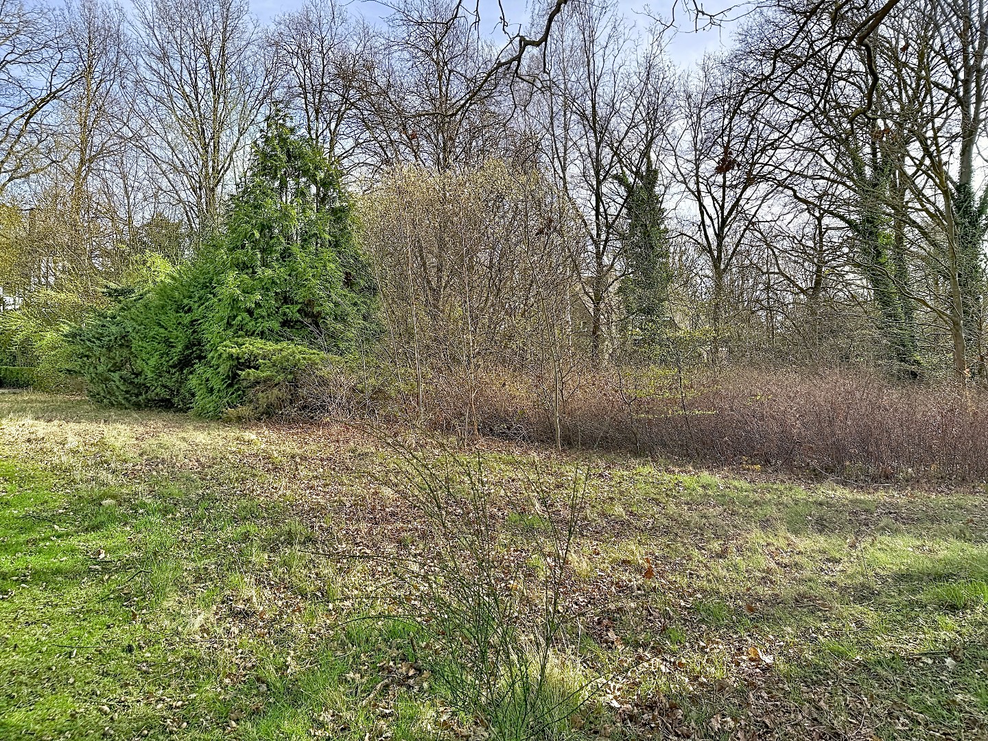 Keuze uit 2 ruime bouwgronden met groenzone - foto 5