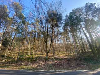 Rustig en residentieel gelegen bouwgrond van 29a 63ca!Deze residentieel en bosrijk gelegen bouwgrond (Valleilaan links van nr 36) op de Heikantberg...