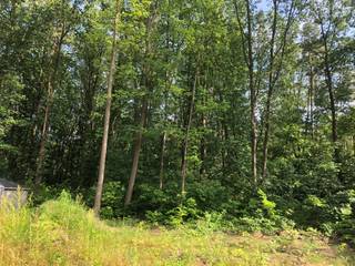 Recreatiegrond van 24a 35ca gelegen in Westmeerbeek aan de N15 met achteraan een zeer rustige, groene omgeving. Het (her)oprichten van een chalet...