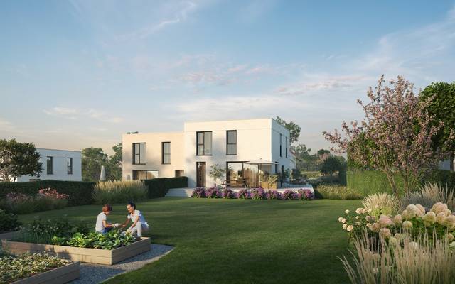 Project te koop in Nederhasselt