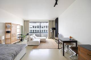 Bekijk alvast het grondplan, het gunstige EPC, het conforme elektriciteitsattest en de asbestinventaris via de Wellimmo-site (‘Documenten’).<br />Voor meer info of een bezoek: info@wellimmo.net of 03/225.00.68<br /><br />Op de 7e verdieping van een goed onderhouden residentie, vlak aan het Stadspark, bevindt zich deze lichtrijke en gemeubelde studio van 42 m². Dankzij het zeer grote schuifraam geniet de studio van een uitzonderlijke natuurlijke lichtinval én een prachtig panoramisch zicht over Antwerpen.<br />De praktische indeling omvat een aangename leefruimte met slaapgedeelte, een volledig uitgeruste keuken en een badkamer met ligbad. De ligging is bijzonder aantrekkelijk: op wandelafstand van het Stadspark, winkels, horeca en diverse culturele hotspots, met bovendien een vlotte verbinding naar de belangrijkste uitvalswegen en het openbaar vervoer.<br />Een bijkomende troef is de interessante verhuursituatie: de studio is momenteel gemeubeld verhuurd aan €950/maand, inclusief kosten. Hierdoor vormt deze eigendom een interessante investering met een bestaande huurder, maar ook een aantrekkelijke opportuniteit voor een starter die op termijn zelf wil bewonen.<br /><br />Troeven:<br />7e verdieping met panoramisch stadszicht - zeer lichtrijk dankzij groot schuifraam<br />Gemeubeld verhuurd aan €950/maand incl. kosten<br />Gunstig EPC-label B<br />Conforme elektriciteitskeuring<br />Asbestinventaris beschikbaar<br />Aan het Stadspark<br />Centrale ligging met winkels, horeca en openbaar vervoer in de directe omgeving<br /> 