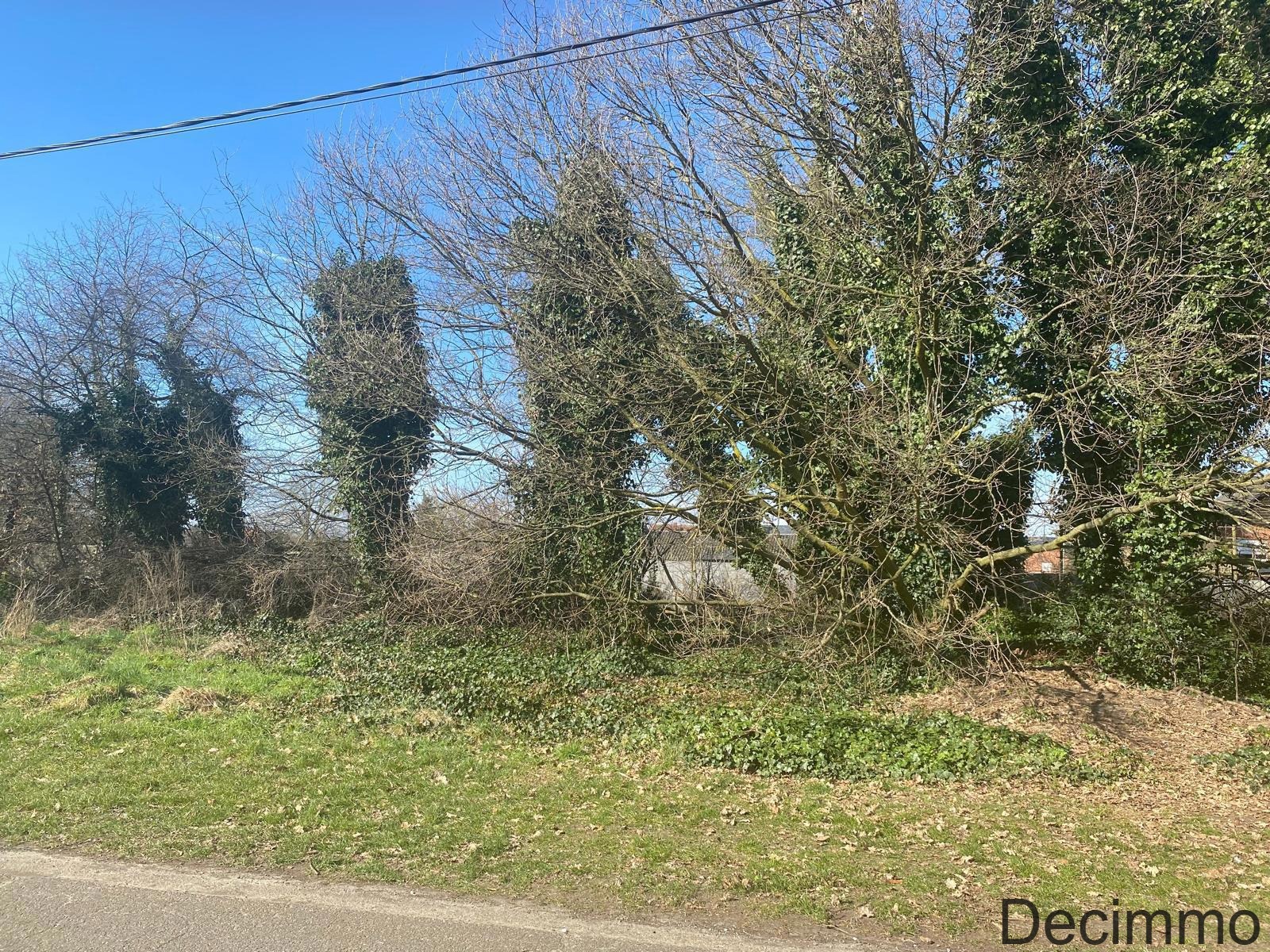 Land for sale in Balen - photo 4