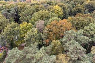 Ruim perceel bouwgrond voor open bebouwing gelegen in de Nieuwelaan te Kapellen, toekomstig huisnummer 23.Rustig gelegen in een groene omgeving doch...